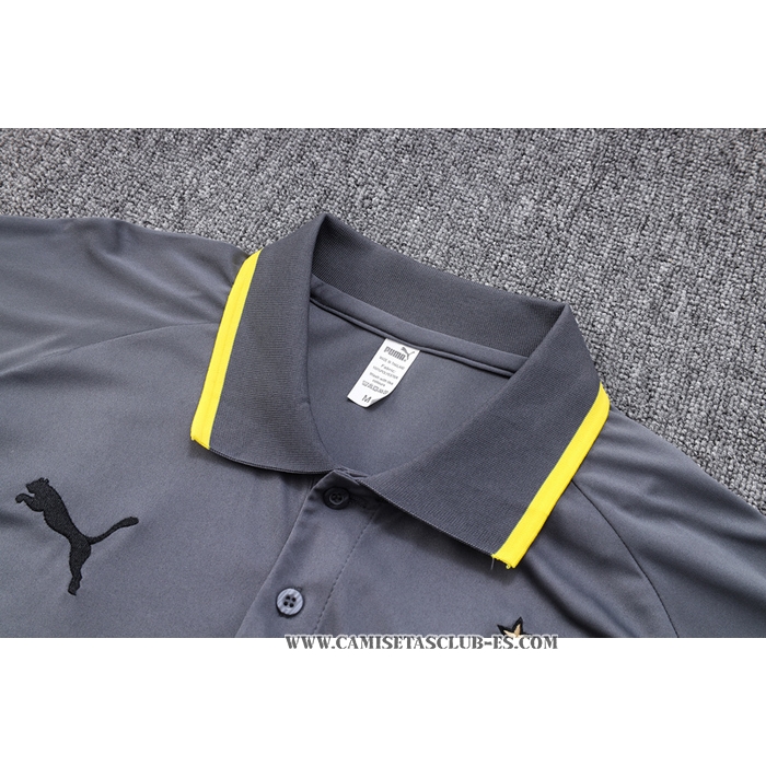 Camiseta Polo del Borussia Dortmund 23-24 Gris